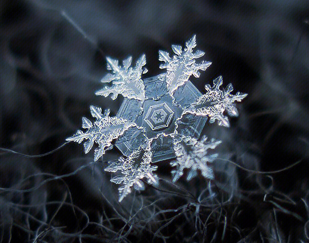 雪花的样子唯美图片